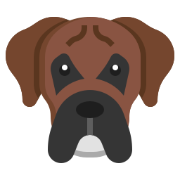 Boxer icon