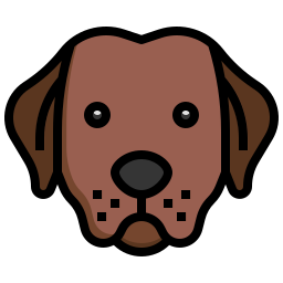 labrador retriever icoon