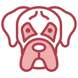 boxer icon