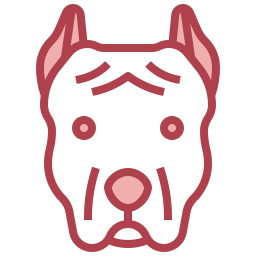 Pitbull icon