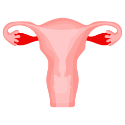 uterus icon