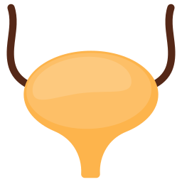 uréter icono