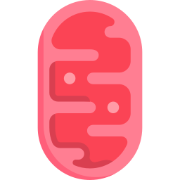 mitochondria ikona