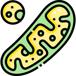 Mitochondria icon