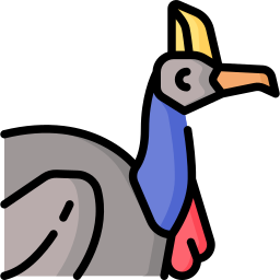 pájaro kasuari icono