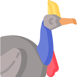 oiseau kasuari Icône