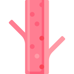 혈관 icon