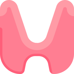 Endocrine system icon