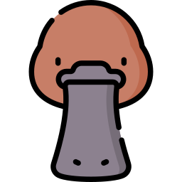 Platypus icon