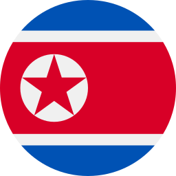 noord korea icoon