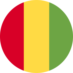 ギニア icon