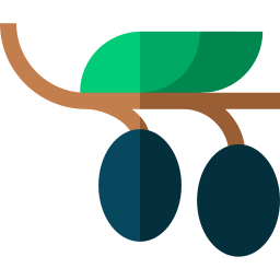 aceituna icono