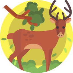 cerf Icône