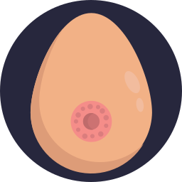 Mamary gland icon