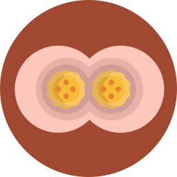 fertilisation Icône