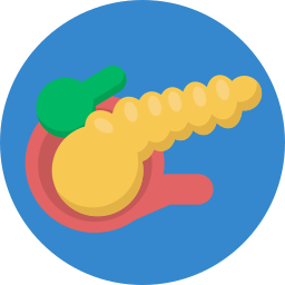Masculine organs icon