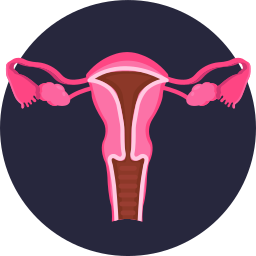 kobiece organy ikona