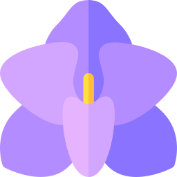 orchidée Icône