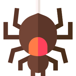 Spider icon