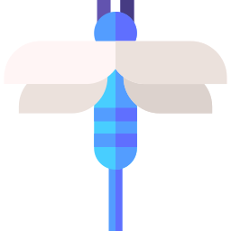 Dragonfly icon