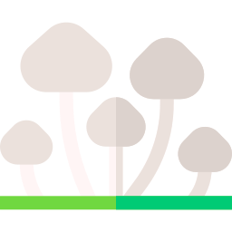 Mushroom icon