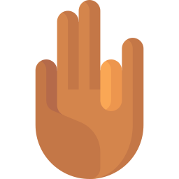 Gesture icon