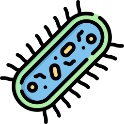 bacterias icono