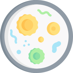 microbiologia icona