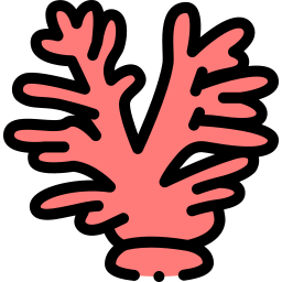 coral icono