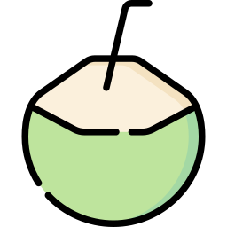 Coconut drink icon