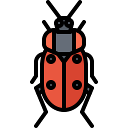 Beetle icon