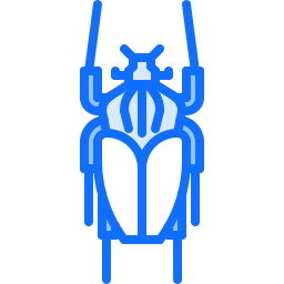 Beetle icon