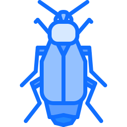 Beetle icon