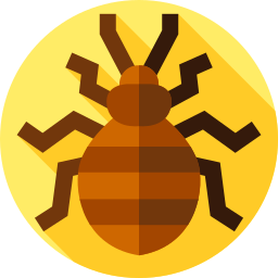 Bed bug icon