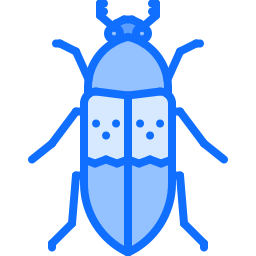 Beetle icon