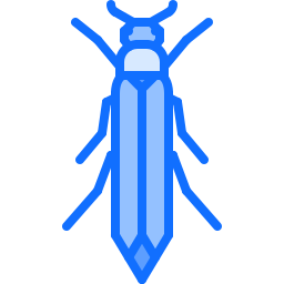 Beetle icon