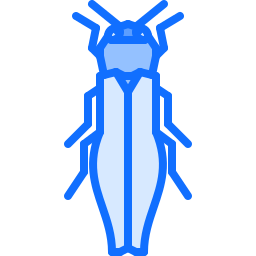 Beetle icon