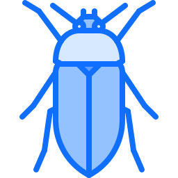 Beetle icon