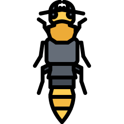 Beetle icon