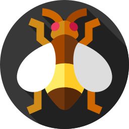 Fruit fly icon