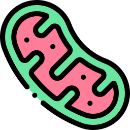 mitochondria ikona