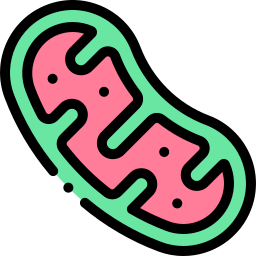 mitochondrien icon