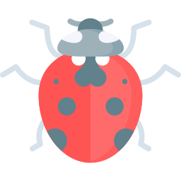 coccinella icona