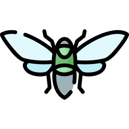 Cicada icon