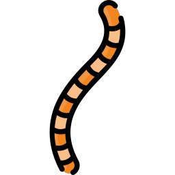 Worm icon