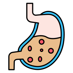 stomaco icona