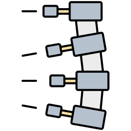 columna vertebral icono