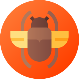 Beetle icon