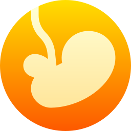 embryo icon