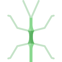 stick-bug icon